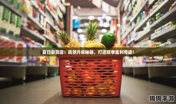 夏日杂货店：高效升级秘籍，打造旺季盈利奇迹！