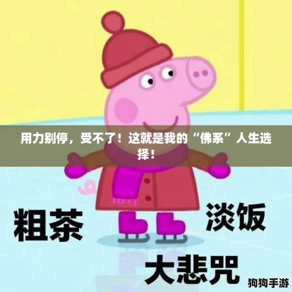 用力别停，受不了！这就是我的“佛系”人生选择！