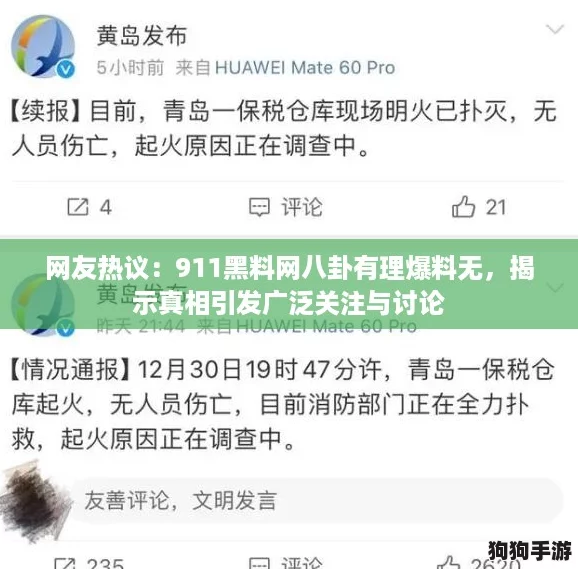 网友热议：911黑料网八卦有理爆料无，揭示真相引发广泛关注与讨论