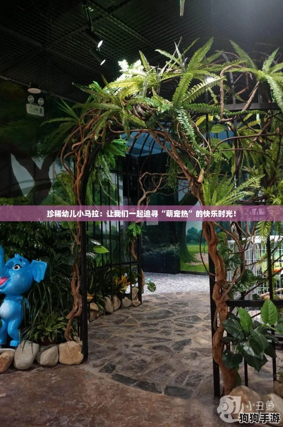 珍稀幼儿小马拉：让我们一起追寻“萌宠热”的快乐时光！