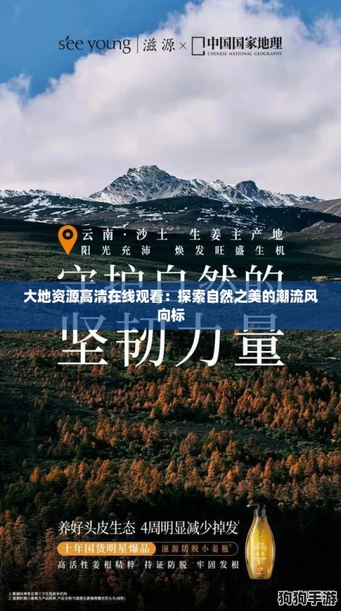 大地资源高清在线观看:探索自然之美的潮流风向标 大地资源高清在线观看:探索自然之美的潮流风向标