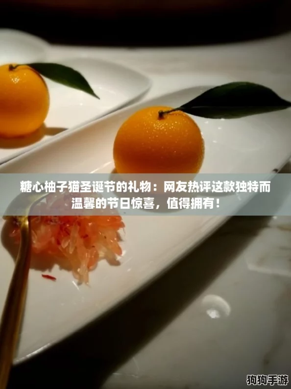 糖心柚子猫圣诞节的礼物：网友热评这款独特而温馨的节日惊喜，值得拥有！