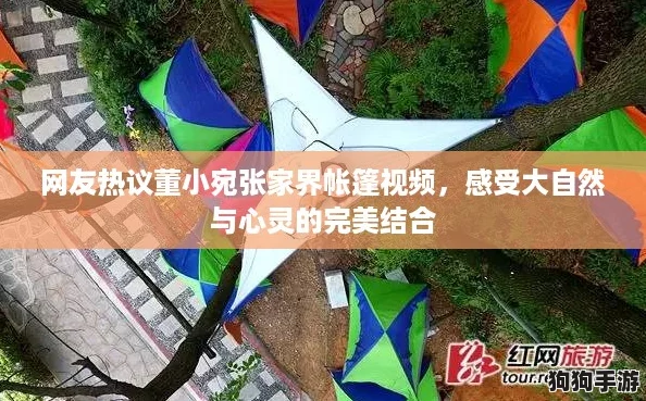 网友热议董小宛张家界帐篷视频,感受大自然与心灵的完美结合 网友热议董小宛张家界帐篷视频,感受大自然与心灵的完美结合