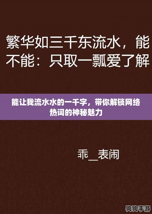 能让我流水水的一千字，带你解锁网络热词的神秘魅力