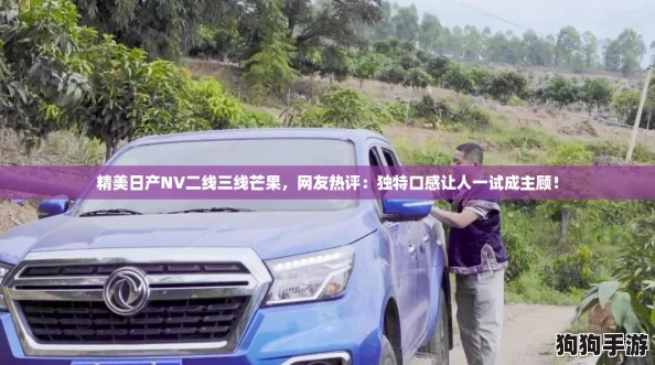 精美日产NV二线三线芒果，网友热评：独特口感让人一试成主顾！