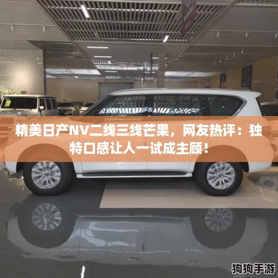 精美日产NV二线三线芒果,网友热评:独特口感让人一试成主顾! 精美日产NV二线三线芒果,网友热评:独特口感让人一试成主顾!