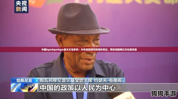 中国bgmbgmbgm老太太毛多多：从传统到现代的奇妙变迁，带你领略网红文化新风潮