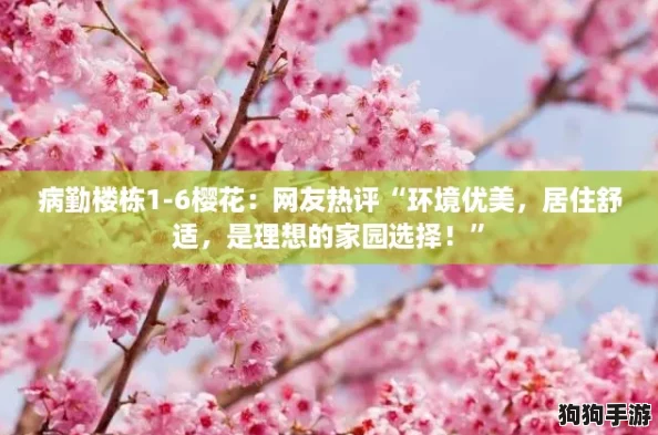 病勤楼栋1-6樱花：网友热评“环境优美，居住舒适，是理想的家园选择！”