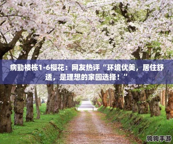 病勤楼栋1-6樱花：网友热评“环境优美，居住舒适，是理想的家园选择！”