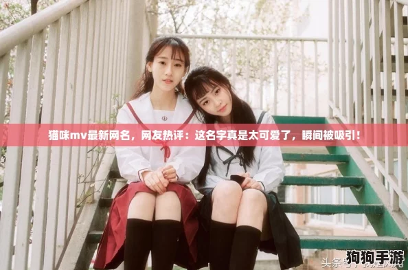 猫咪mv最新网名,网友热评:这名字真是太可爱了,瞬间被吸引! 猫咪mv最新网名,网友热评:这名字真是太可爱了,瞬间被吸引!