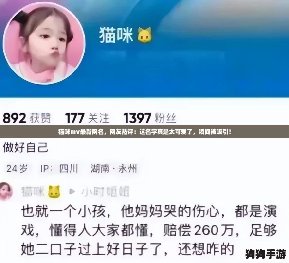猫咪mv最新网名,网友热评:这名字真是太可爱了,瞬间被吸引! 猫咪mv最新网名,网友热评:这名字真是太可爱了,瞬间被吸引!
