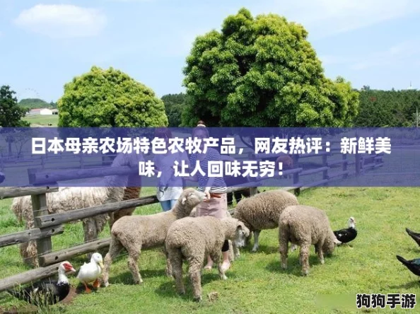 日本母亲农场特色农牧产品，网友热评：新鲜美味，让人回味无穷！