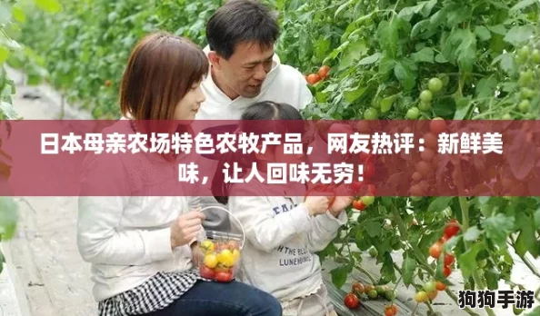 日本母亲农场特色农牧产品,网友热评:新鲜美味,让人回味无穷! 日本母亲农场特色农牧产品,网友热评:新鲜美味,让人回味无穷!