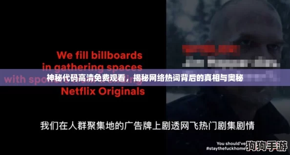 神秘代码高清免费观看，揭秘网络热词背后的真相与奥秘