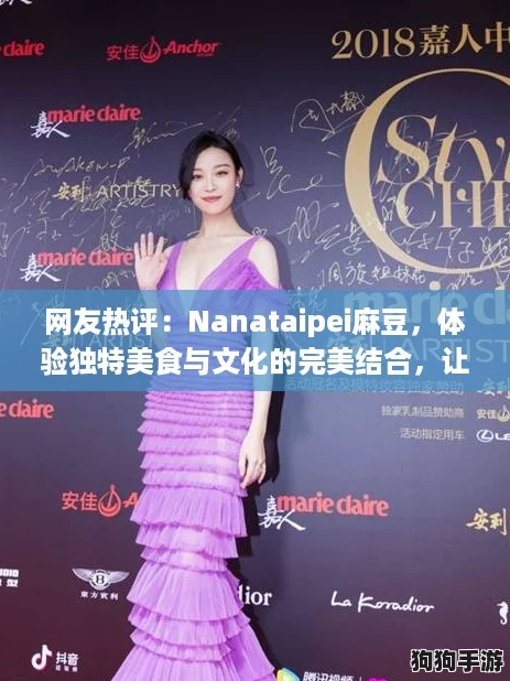 网友热评：Nanataipei麻豆，体验独特美食与文化的完美结合，让人流连忘返！