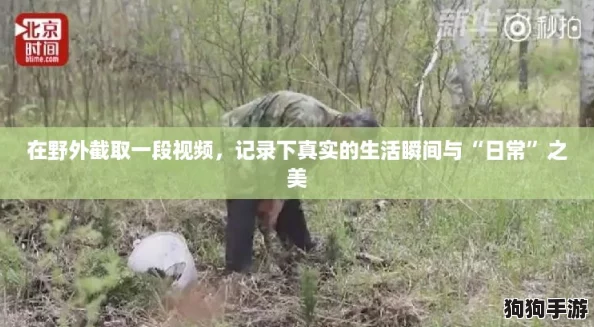 在野外截取一段视频，记录下真实的生活瞬间与“日常”之美