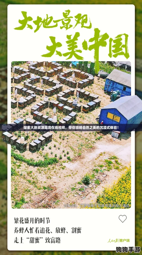 探索大地资源高清在线视频，带你领略自然之美的沉浸式体验！
