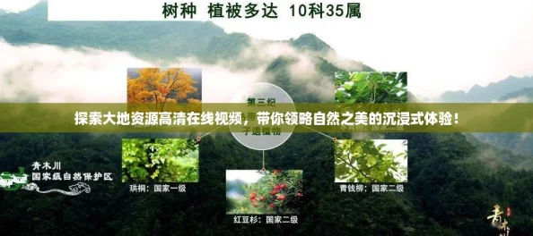 探索大地资源高清在线视频，带你领略自然之美的沉浸式体验！