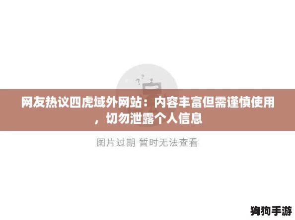 网友热议四虎域外网站：内容丰富但需谨慎使用，切勿泄露个人信息
