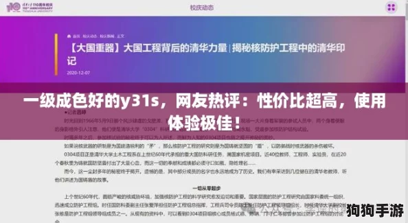 一级成色好的y31s，网友热评：性价比超高，使用体验极佳！