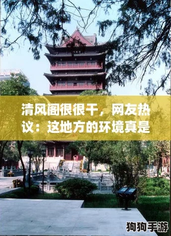 清风阁很很干，网友热议：这地方的环境真是让人心旷神怡！