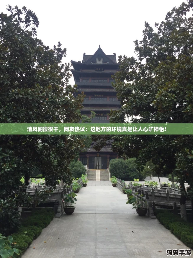 清风阁很很干，网友热议：这地方的环境真是让人心旷神怡！