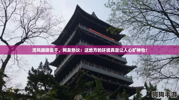 清风阁很很干，网友热议：这地方的环境真是让人心旷神怡！