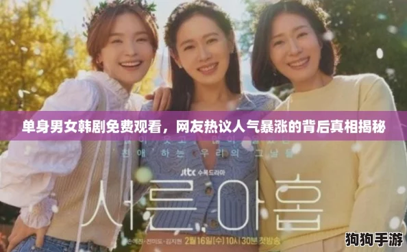 单身男女韩剧免费观看，网友热议人气暴涨的背后真相揭秘