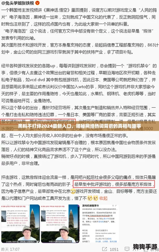 黑料不打烊2024最新入口，揭秘网络热词背后的真相与趣事