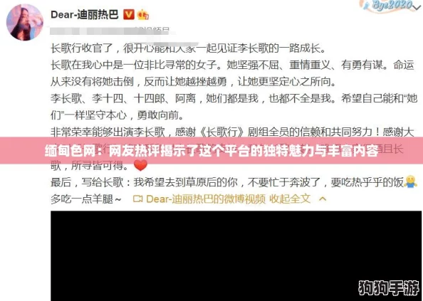 缅甸色网：网友热评揭示了这个平台的独特魅力与丰富内容