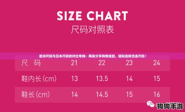 欧洲尺码与日本尺码的对比专线：网友分享购物经验，轻松选择合适尺码！