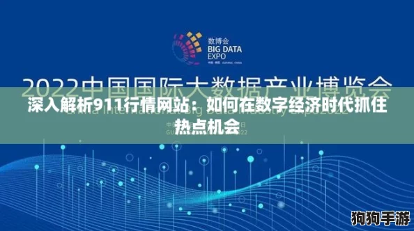 深入解析911行情网站：如何在数字经济时代抓住热点机会