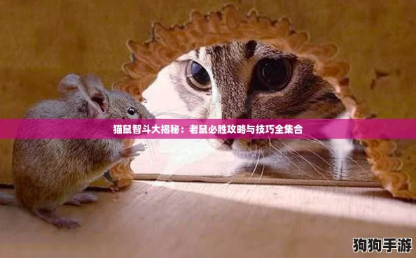 猫鼠智斗大揭秘：老鼠必胜攻略与技巧全集合