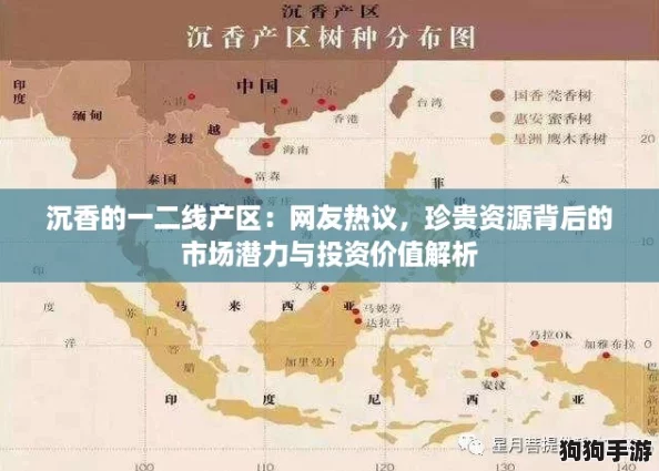 沉香的一二线产区：网友热议，珍贵资源背后的市场潜力与投资价值解析