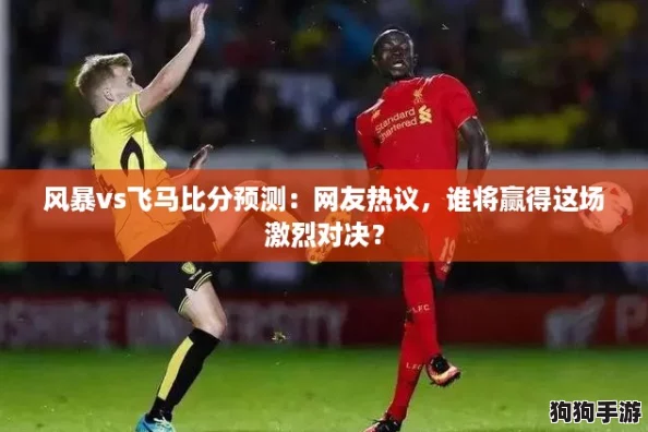 风暴vs飞马比分预测：网友热议，谁将赢得这场激烈对决？
