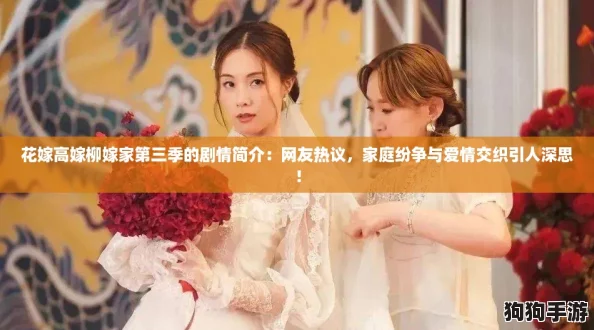 花嫁高嫁柳嫁家第三季的剧情简介：网友热议，家庭纷争与爱情交织引人深思！