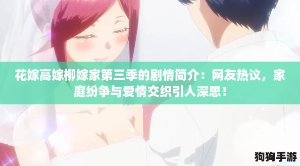 花嫁高嫁柳嫁家第三季的剧情简介：网友热议，家庭纷争与爱情交织引人深思！