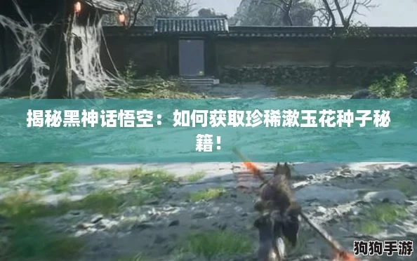 揭秘黑神话悟空：如何获取珍稀漱玉花种子秘籍！