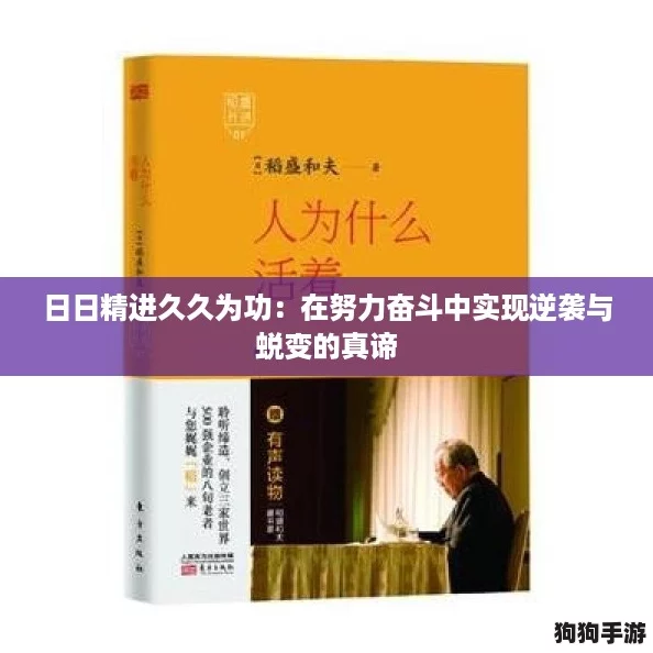 日日精进久久为功：在努力奋斗中实现逆袭与蜕变的真谛