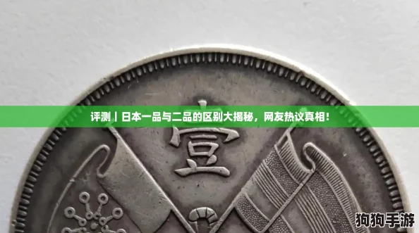 评测｜日本一品与二品的区别大揭秘，网友热议真相！