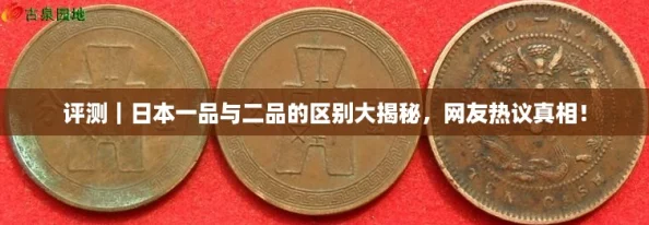 评测|日本一品与二品的区别大揭秘,网友热议真相! 评测|日本一品与二品的区别大揭秘,网友热议真相!