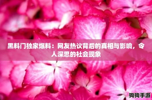 黑料门独家爆料：网友热议背后的真相与影响，令人深思的社会现象