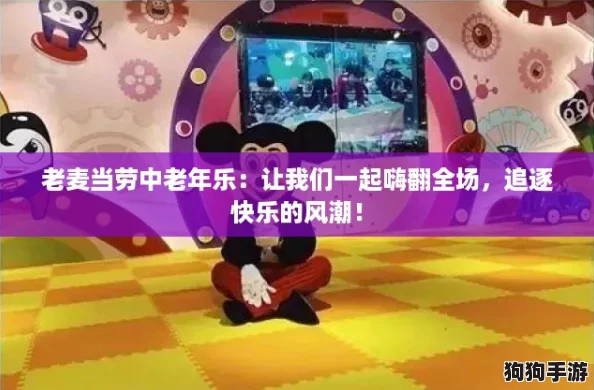老麦当劳中老年乐：让我们一起嗨翻全场，追逐快乐的风潮！
