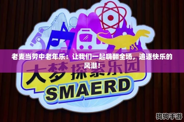 老麦当劳中老年乐：让我们一起嗨翻全场，追逐快乐的风潮！