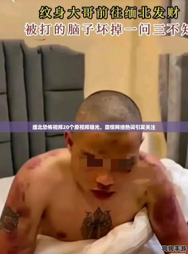 缅北恐怖视频20个原视频曝光,震惊网络热词引发关注 缅北恐怖视频20个原视频曝光,震惊网络热词引发关注