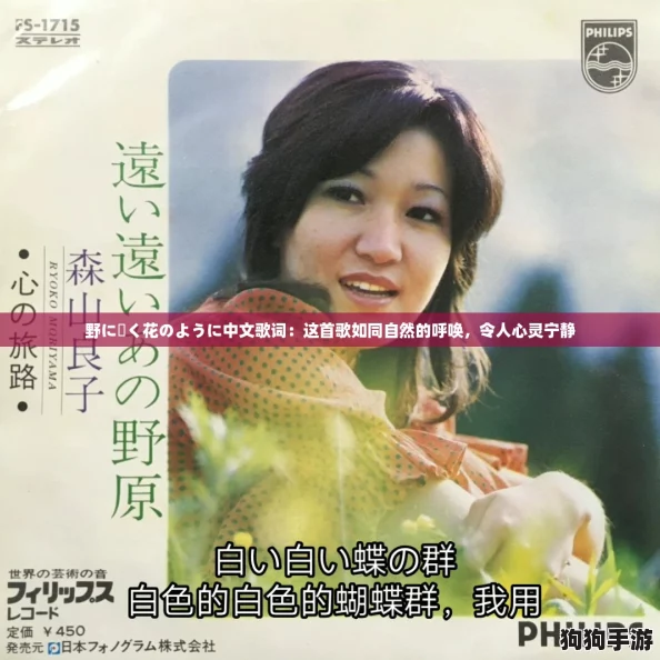 野に咲く花のように中文歌词:这首歌如同自然的呼唤,令人心灵宁静 野に咲く花のように中文歌词:这首歌如同自然的呼唤,令人心灵宁静