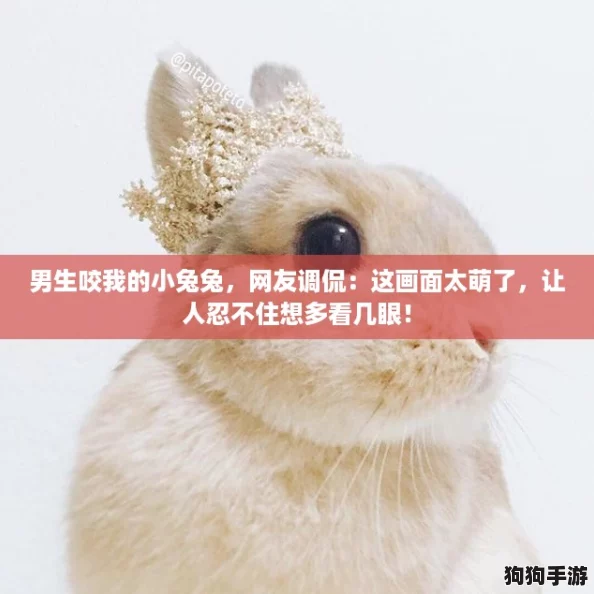 男生咬我的小兔兔，网友调侃：这画面太萌了，让人忍不住想多看几眼！
