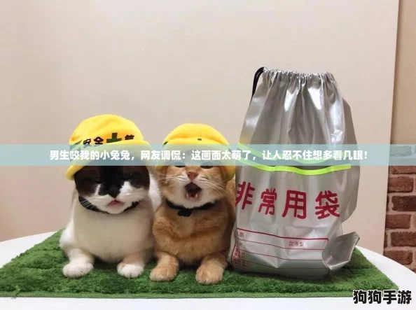 男生咬我的小兔兔,网友调侃:这画面太萌了,让人忍不住想多看几眼! 男生咬我的小兔兔,网友调侃:这画面太萌了,让人忍不住想多看几眼!