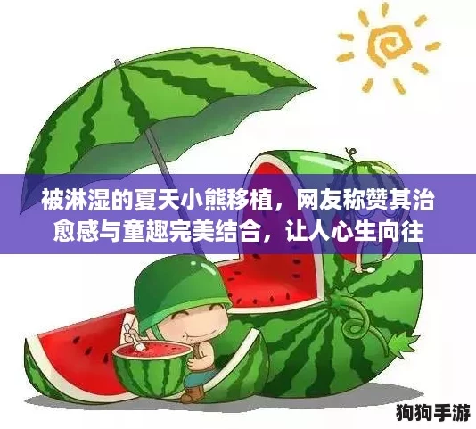 被淋湿的夏天小熊移植，网友称赞其治愈感与童趣完美结合，让人心生向往