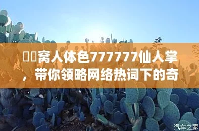 妺妺窝人体色777777仙人掌，带你领略网络热词下的奇妙世界
